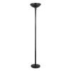 Alera ALE Torchier Floor Lamp, 72" High, Black