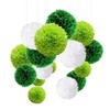O-Kinee Set of 24 Colourful Tissue Paper Pom-Poms for Weddings,