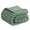 RUIKASI Soft Fleece Blanket Green Throws - Fluffy Warm Throw