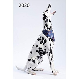 2020: Dog Diary, Planner, Organiser - Week Per View - Gift for Dog Lover - DALMATION