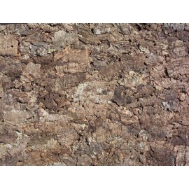 Cork Back Panel Natural 60 x 30 cm, Terrarium, Cork Back Panel (92011), Decorative Background