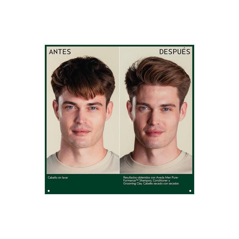 Aveda Pure-Formance Acondicionador | Aporta Brillo