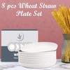 Wrova Wheat Straw Plates - 10 Inch Unbreakable Dinner Plates