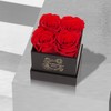 UFOREVER ROSES Preserved Roses in a Box Mothers Day Valentines