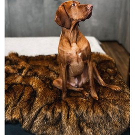 Waterproof Dog Blanket for Small, Medium & Large Dogs – Faux Fur Pet Throw for Couch, Sofa, Bed & Car – Soft, Washable, Stain-Resistant, Durable Cover - Brown 80" x 60"