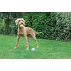 Rosewood Catch & play tennis ball
