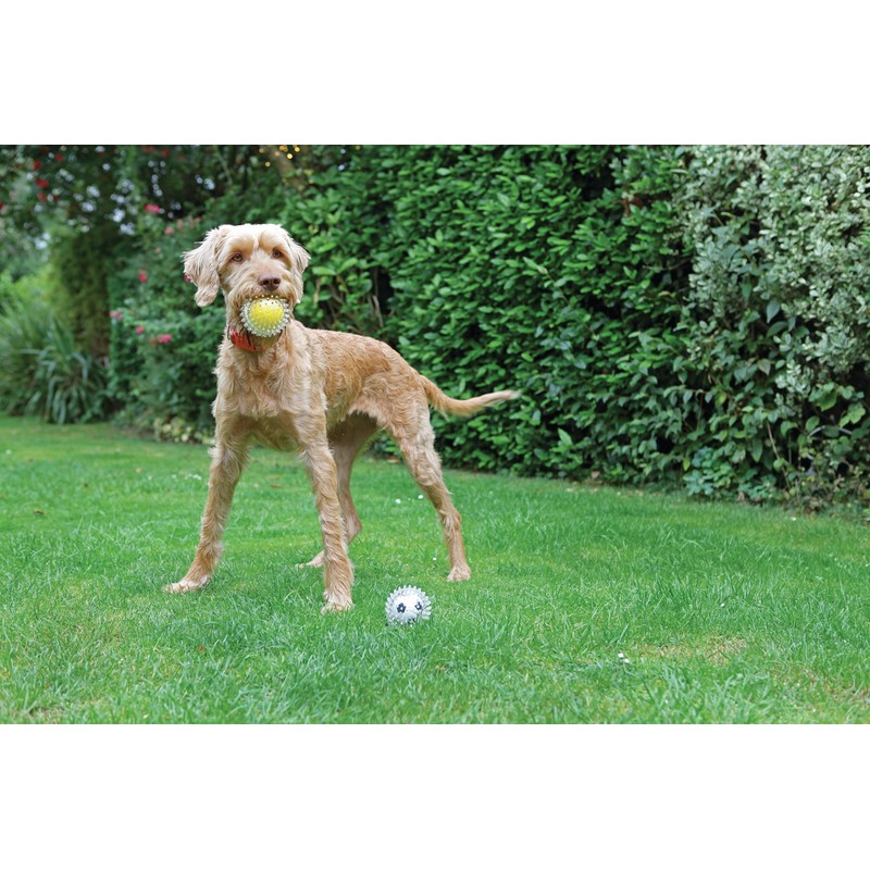 Rosewood Catch & play tennis ball