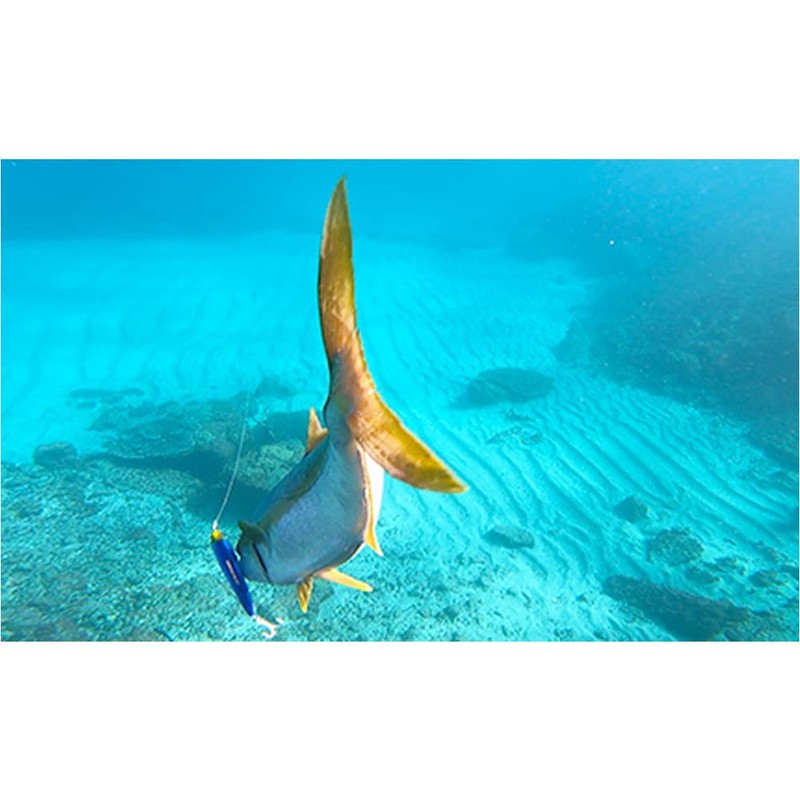 Duel Lure HC Bullet Dive 200mm #05 HPI
