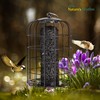 Nature's Rhythm Outdoor Hanging Bird Feeder Cage Mesh Tube Squirrel