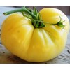 Seeds4planting - Seeds Snow Great White Beefsteak Tomato Giant Heirloom