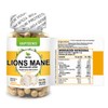 NATSA Melena de León, Lions Mane 100 cápsulas, Adaptogeno calidad