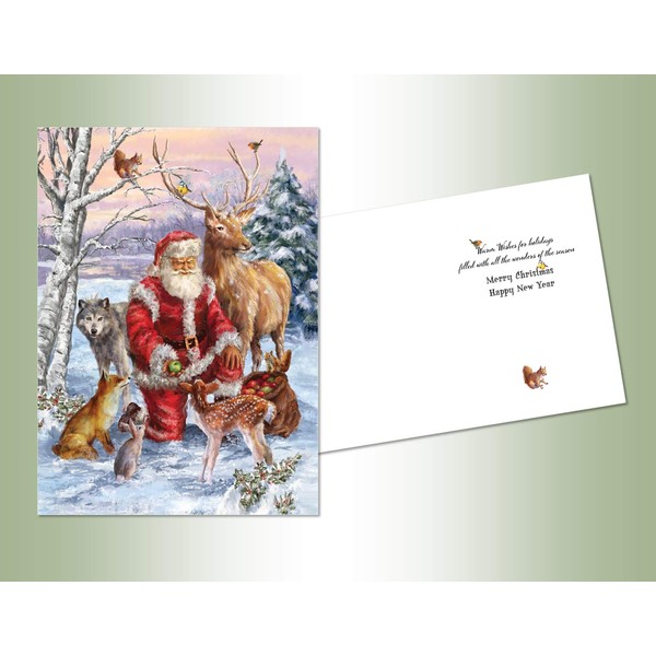 LPG PERFORMING ARTS BOXED CHRISTMAS CARD SET Santa and Animals Set of 16 Velvet Touch coated cards/16 envelopes (1 design per box) (5332)