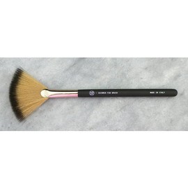 XOBEAUTY SHIMMER FAN BRUSH, xoBeauty