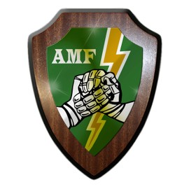 #31497 Coat of Arms AMF Badge Emblem Unit Troop Keepsake