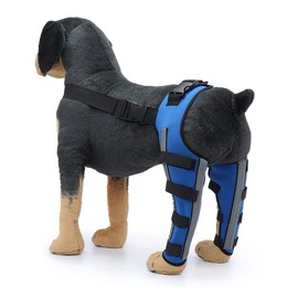 Dog Knee Brace Adjustable Dog Double Rear Leg Brace with Metal Hinged Flexible Support and Reflective Seat Belts Dog Acl Brace Hind Leg Blue (M)