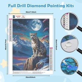 HEIBAGO 5D Landscape Diamond Painting for Adults, Cheetah Rhinestone Embroidery Diamond Painting Set, DIY Full Drill Diamond Painting Kits, Animal Diamond Art Pictures for Beginners, Home Decor, 30 x