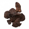 Di Huang Sheng Chinese Herb | Rehmannia Root Herbs (1 Oz)