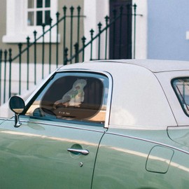 Mr. & Mrs. Panda Car Sun Shade Otter Bouquet - Gift, Sun Protection Car Window, Sun Protection Children, Sun Visor Car, Cute, Otter