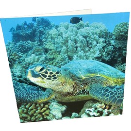 Maturi Sea Turtle Photographic Blank Birthday Greetings Card, 15.5 x 15.5 cm