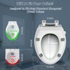 Raised Bidet Toilet Seat Elongated 18.5" – Soft Close, Dual
