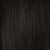 ion Ammonia-Free Permanent Hair Color Natural Darkest Rich Chestnut Brown