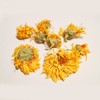 Marigold marigold (from Egypt) (including calyx) 100g x 3 /
