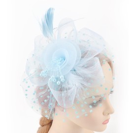 DRESHOW Fascinators Hat Flower Mesh Ribbons Feathers on a Headband and a Forked Clip Cocktail Tea Party Headwear for Girls and Women