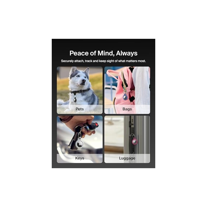 Belkin F8W973btBLK Soporte seguro con Llavero para Air Tag, Negro