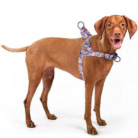 haoyueer No Pull Dog Harness for Easy Walk, Floral Pattern Female Safety Nylon Training Collar for Puppy Small, Medium, and Large Dogs (Fireworks, M)