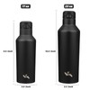 Insulated Water Bottle with Straw,25 OZ Double Wall Vacuum Stainless