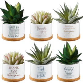 Unittype Unittype 6 Pcs Employee Appreciation Gift Administrative Professional Day Gift Ceramic Succulent Mini Planter with Tray Office Desk Decor for Secretary Volunteer Teacher Nurse, Plants Not Included