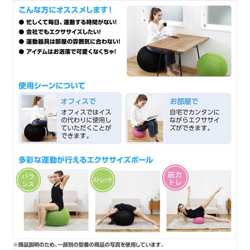 ALINCO WB1241G Exercise Ball Cover for 21.7 inches (55 cm)