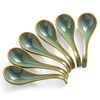 Gomakren Soup Spoons Set of 6, Asian Soup Spoons 6.5