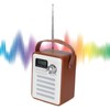 Mini Wireless Bluetooth Speaker Portable DAB Bluetooth Speaker for Play