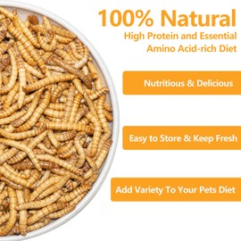 JADINGSFARM Freeze Dried Mealworms, 6 Oz High Protein Freeze Dried Meal Worms, Nutrient-Packed, Ideal for Reptiles, Bearded Dragons, Lizards, Geckos, Birds, Hedgehogs