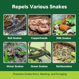 XLCKODY Snake Repellent Outdoor, Snake Repellent for Yard Powerful, Snake Repellant Pet Safe, Keep Snakes Away, Snake Repellant Indoor, Snake Deterrent Outdoor-10P