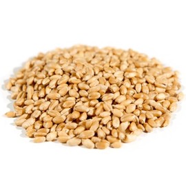 Organic Hard White Wheat Berries, Non-GMO, Whole Grain, Versatile for Salads, Soups, and Grain Bowls, Bulk, 25 lb