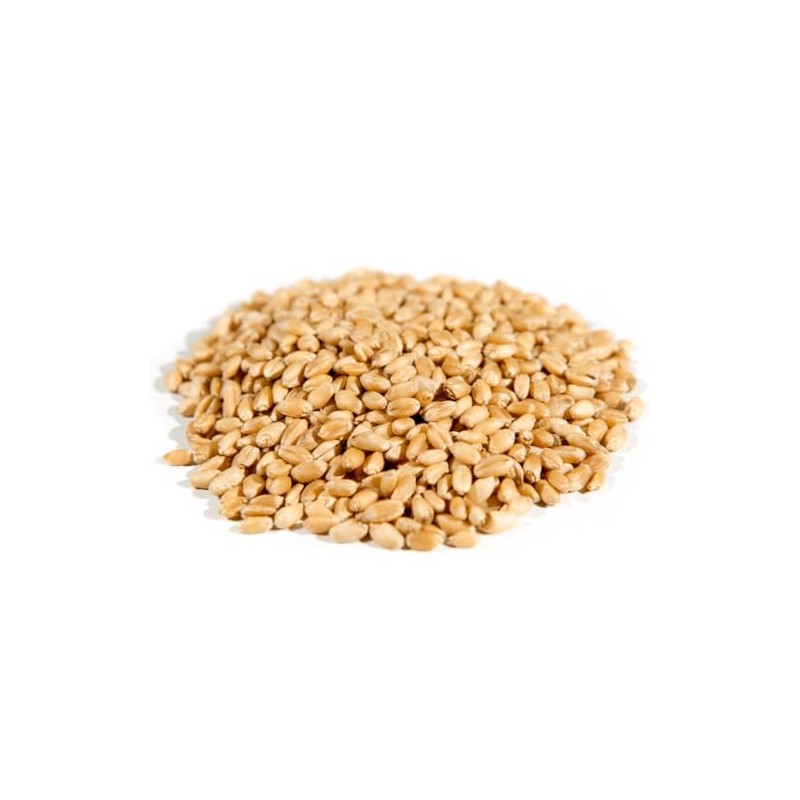 Organic Hard White Wheat Berries, Non-GMO, Whole Grain, Versatile for