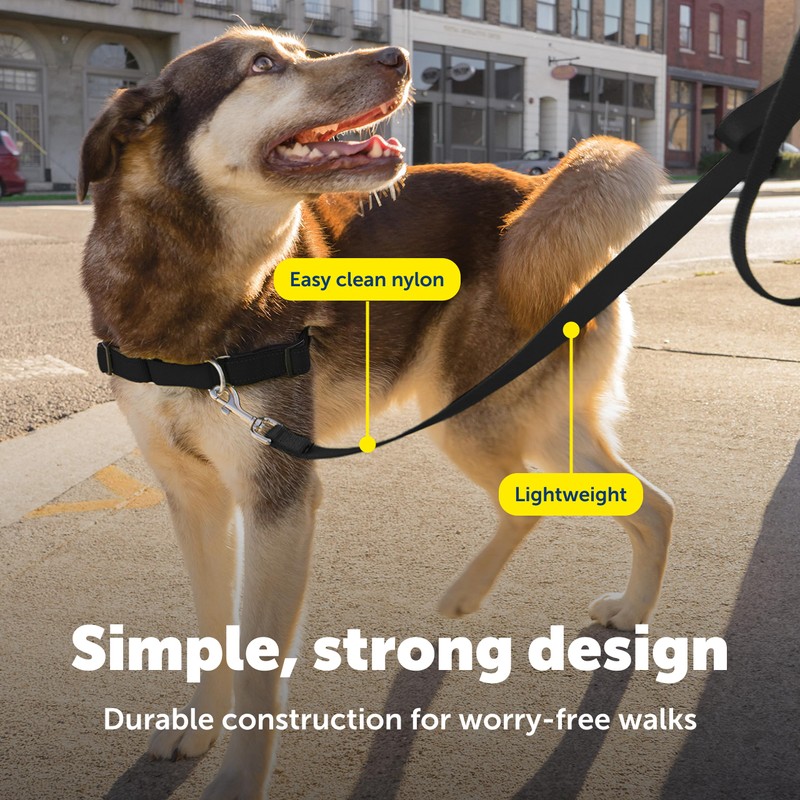 PetSafe Nylon Leash - Helps Maintain Secure Connection on Walks