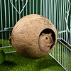 Balacoo Coconut Bird Nest for Cage: Natural Coconut Shell Parakeet