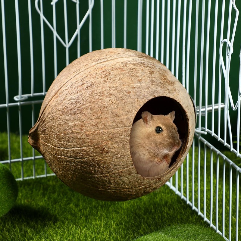 Balacoo Coconut Bird Nest for Cage: Natural Coconut Shell Parakeet