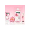 클로란 [민감두피&두피진정] 피오니 두피팩 150ml + 퀴닌 샴푸 7ml x