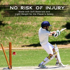 SialPro Soft Cricket Rubber Ball Set Indoor/Outdoor for Junior Youth Adult Training, Coaching, Practice Excellent Bounce with Durable Traditional Seams Stitched (Red 1Pcs)