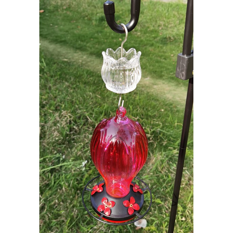 Glass Ant Moat for Hummingbird Feeder - 2PC x 3