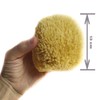 Natural Sponge Large 13 cm Premium Quality Grass Durable Large