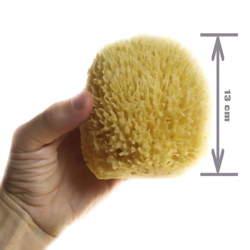 Natural Sponge Large 13 cm Premium Quality Grass Durable Large