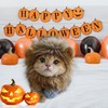 OaaXbbECco Lion Mane Wig for Cat Costume (Light Brown, Medium)