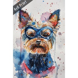 Dog Yorkshire Terrier with superhero mask watercolor Art 4x6 Print