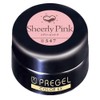 Pregel Gel Nail Color EX Sheer Pink-P 547