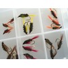 BestCity Fly Fishing Coloured and Natural Diawl Bach 24 Flies